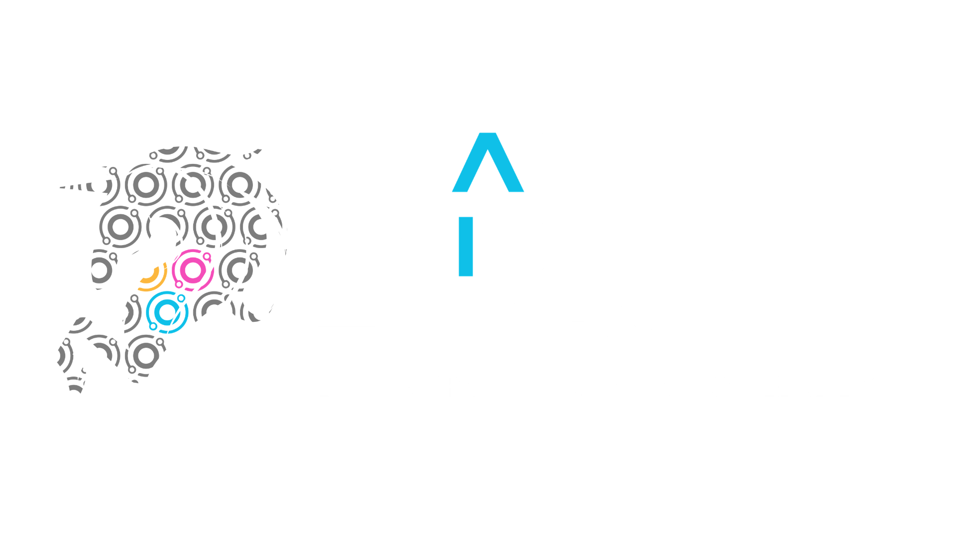 Black Unicorn Education